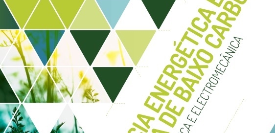 EFICIÊNCIA ENERGÉTICA E ECONOMIA DE BAIXO CARBONO