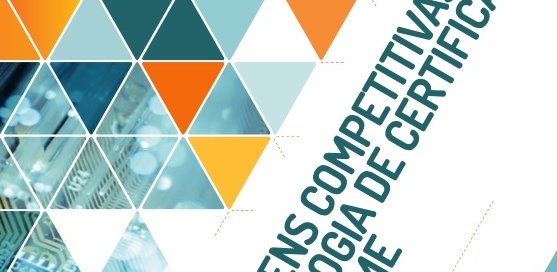 Vantagens Competitivas e Metodologia de Certificação IDI para PME