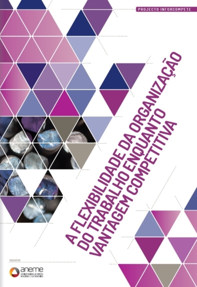 A Flexibilidade da Organização do Trabalho enquanto Vantagem Competitiva